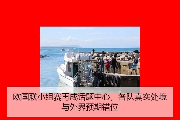 ou-guo-lian-xiao-zu-sai-zai-cheng-hua-ti-zhong-xin-ge-dui-zhen-shi-chu-jing-yu-wai-jie-yu-qi-cuo-wei-2-261.jpg
